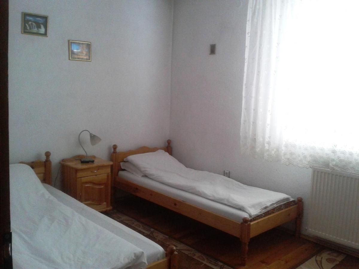 Гостевой дом Tsvetkovi Guest House Добриниште